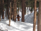 img0033.jpg