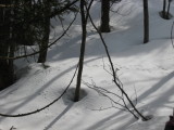 img0034.jpg