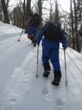 img0035.jpg