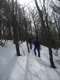 img0036.jpg