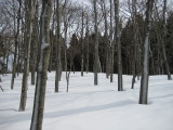 img0037.jpg