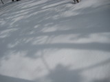 img0038.jpg
