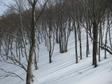img0040.jpg