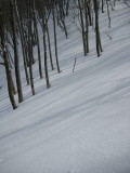 img0041.jpg