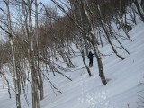 img0042.jpg