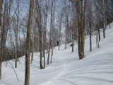 img0044.jpg