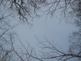 img0047.jpg