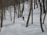 img0048.jpg