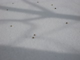 img0050.jpg