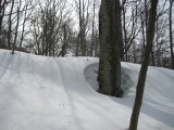 img0051.jpg