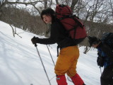 img0053.jpg