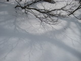 img0055.jpg