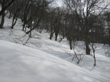 img0056.jpg