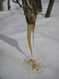 img0058.jpg