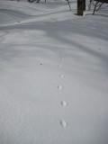 img0059.jpg