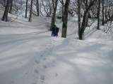 img0060.jpg
