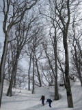 img0061.jpg