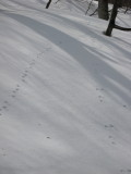 img0062.jpg