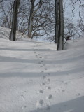 img0063.jpg