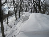 img0064.jpg