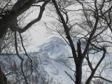 img0065.jpg