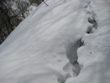 img0070.jpg