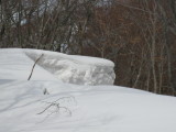 img0071.jpg