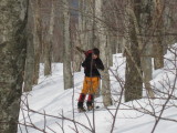 img0073.jpg