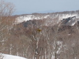 img0077.jpg