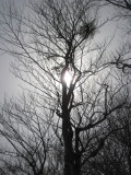 img0079.jpg