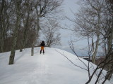 img0081.jpg