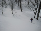 img0084.jpg