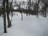 img0085.jpg