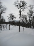 img0086.jpg