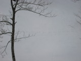 img0090.jpg