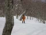img0096.jpg