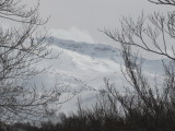 img0099.jpg