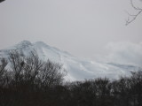 img0102.jpg
