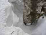 img0105.jpg