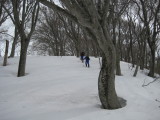 img0106.jpg