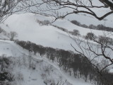 img0109.jpg