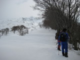 img0111.jpg