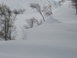 img0112.jpg