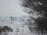img0113.jpg