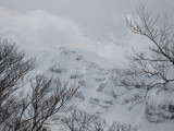 img0115.jpg