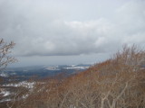 img0117.jpg