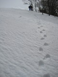 img0118.jpg