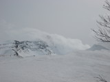 img0123.jpg