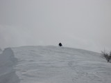 img0131.jpg