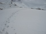 img0136.jpg